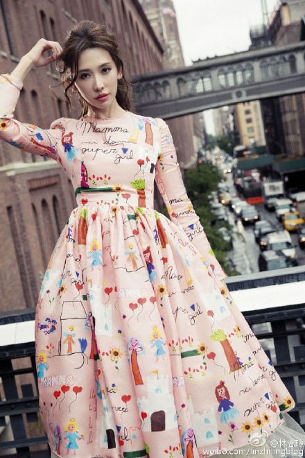 หลิน จื้อหลิง หลิน จื้อหลิง