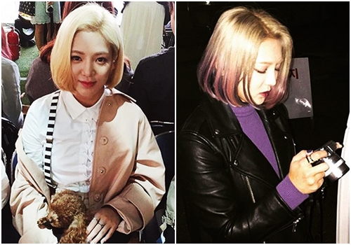 ทรงผมสั้นดาราเกาหลี ทรงผมสั้นดาราเกาหลี