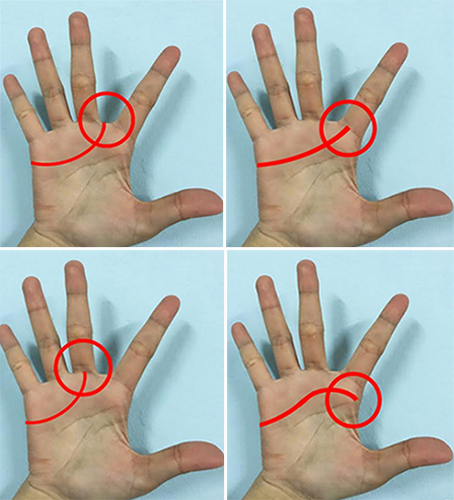 ดูดวงจากเส้นลายมือ ดูดวงจากเส้นลายมือ