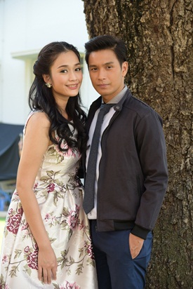 พลับพลึงสีชมพู พลับพลึงสีชมพู