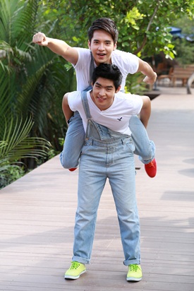 พลับพลึงสีชมพู พลับพลึงสีชมพู