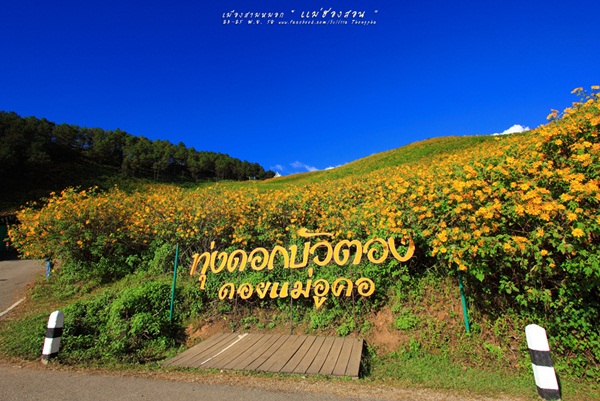 เที่ยวแม่ฮ่องสอน เที่ยวแม่ฮ่องสอน