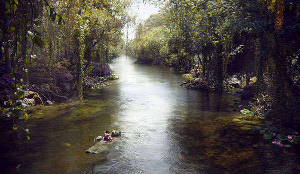 the jungle book เมาคลีลูกหมาป่า the jungle book เมาคลีลูกหมาป่า