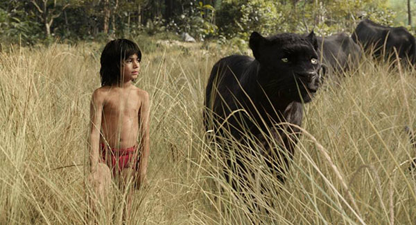 the jungle book เมาคลีลูกหมาป่า the jungle book เมาคลีลูกหมาป่า