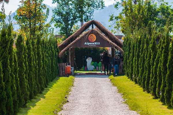 รวมฟาร์มสัตว์ในไทย รวมฟาร์มสัตว์ในไทย