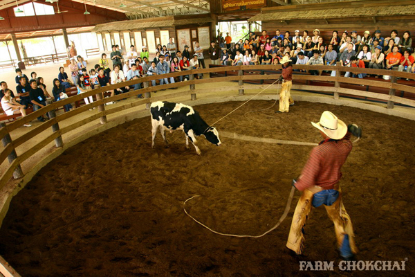 รวมฟาร์มสัตว์ในไทย รวมฟาร์มสัตว์ในไทย