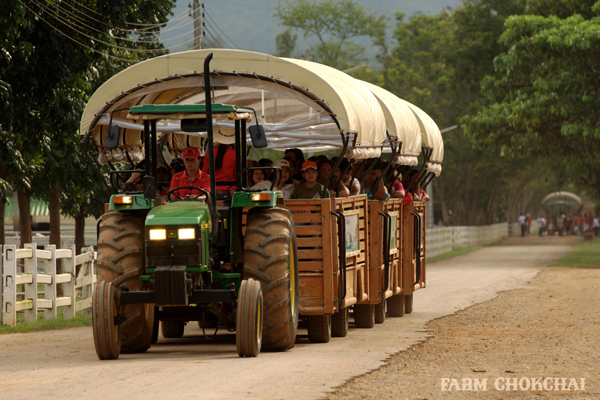 รวมฟาร์มสัตว์ในไทย รวมฟาร์มสัตว์ในไทย