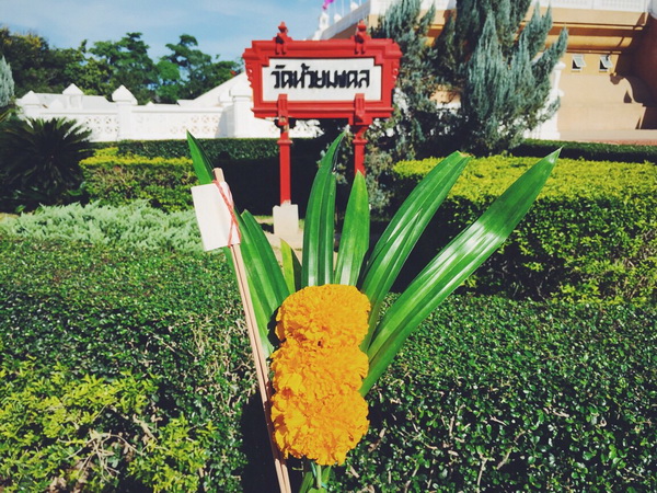 เที่ยวหัวหิน เที่ยวหัวหิน