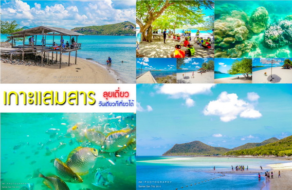 วันเดย์ทริปเที่ยวเกาะแสมสาร สัตหีบ ดำน้ำดูปะการังชิล ๆ วันเดย์ทริปเที่ยวเกาะแสมสาร สัตหีบ ดำน้ำดูปะการังชิล ๆ
