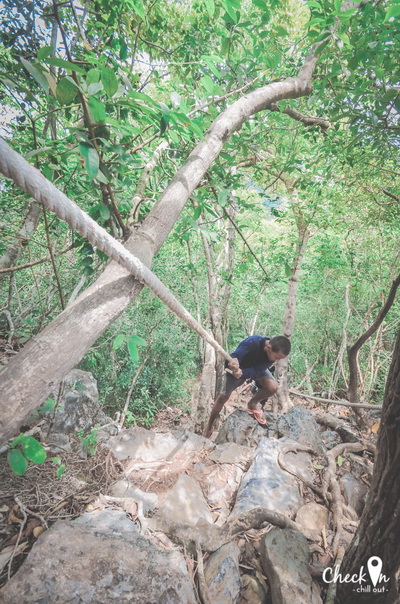 Virgin Island เมืองไทย Virgin Island เมืองไทย
