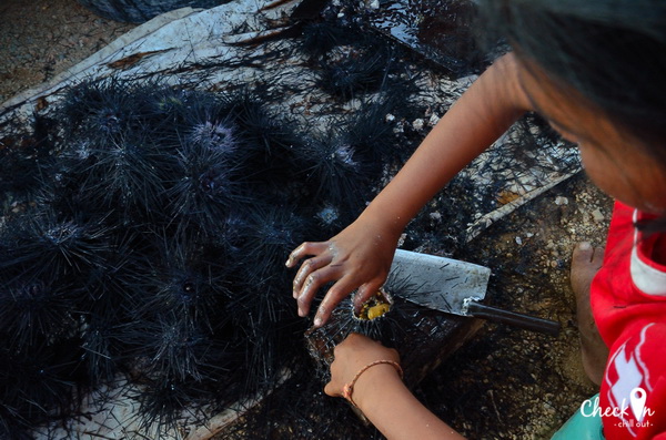 Virgin Island เมืองไทย Virgin Island เมืองไทย