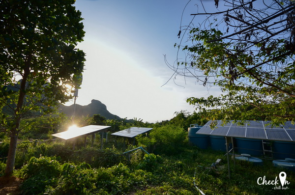 Virgin Island เมืองไทย Virgin Island เมืองไทย