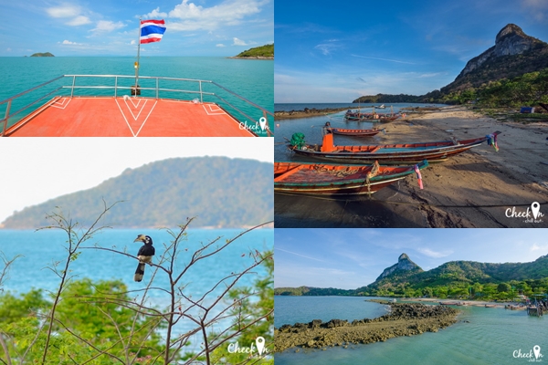 Virgin Island เมืองไทย Virgin Island เมืองไทย