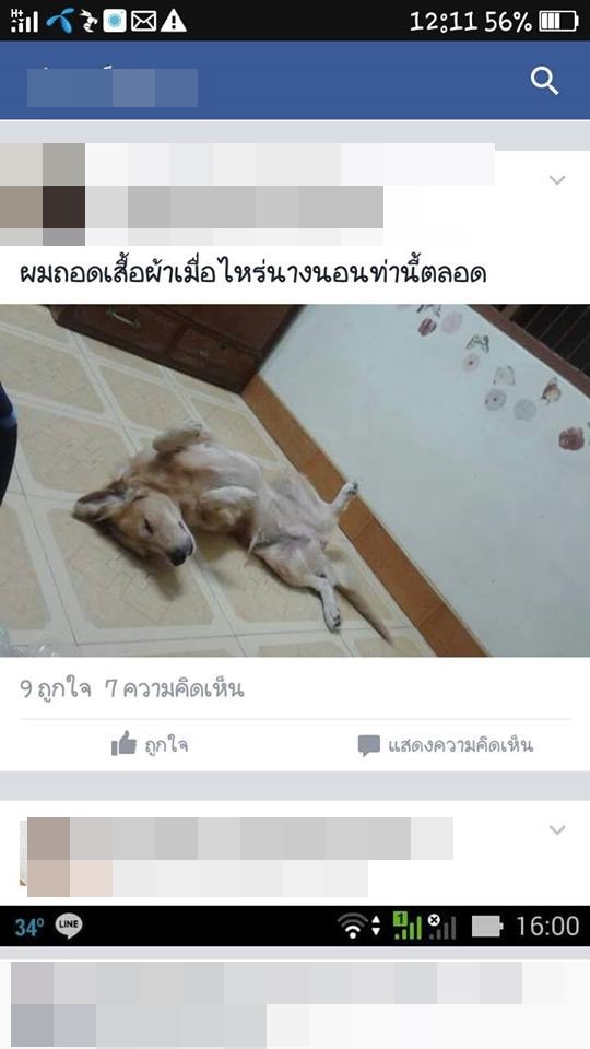 คนมีเพศสัมพันธ์กับสุนัข คนมีเพศสัมพันธ์กับสุนัข