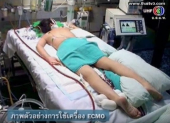 สเตลล่า มาลูกี้ สเตลล่า มาลูกี้