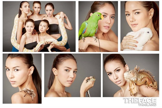 the face thailand season 2 the face thailand season 2