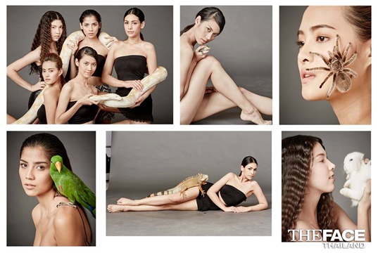 the face thailand season 2 the face thailand season 2