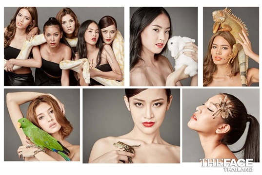 the face thailand season 2 the face thailand season 2