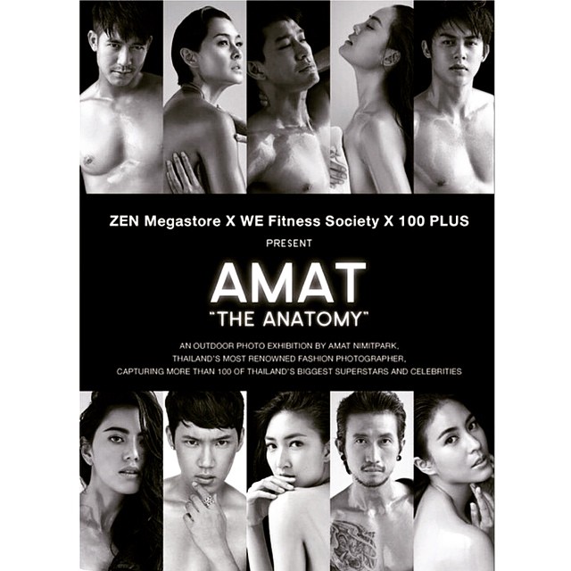 AMAT THE ANATOMY AMAT THE ANATOMY