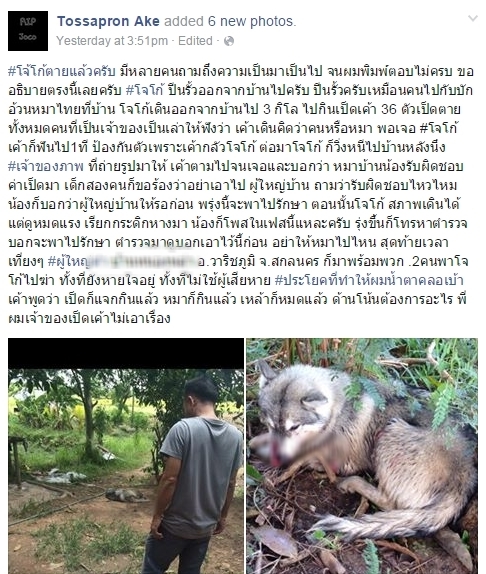 ไซบีเรียนถูกฆ่า ไซบีเรียนถูกฆ่า