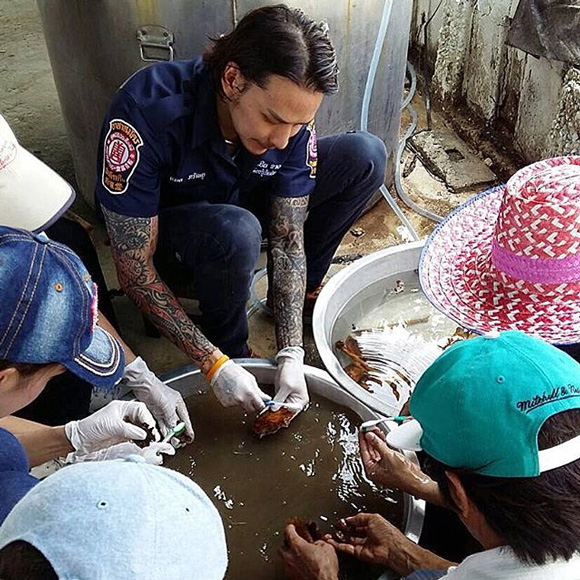 แทค ภรัณยู แทค ภรัณยู