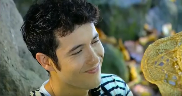 พลับพลึงสีชมพู พลับพลึงสีชมพู