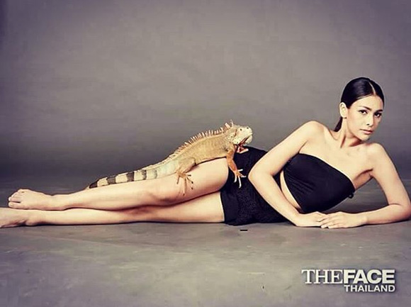 โกโก้ The Face 2 โกโก้ The Face 2