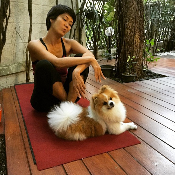 ป๊อป อารียา ป๊อป อารียา