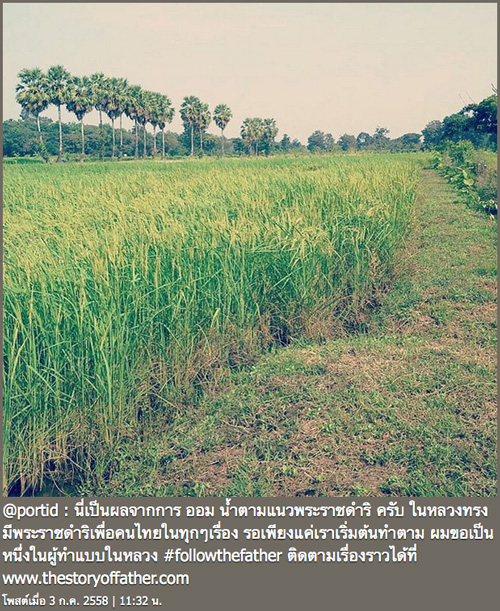 ปอ ทฤษฎี ปอ ทฤษฎี
