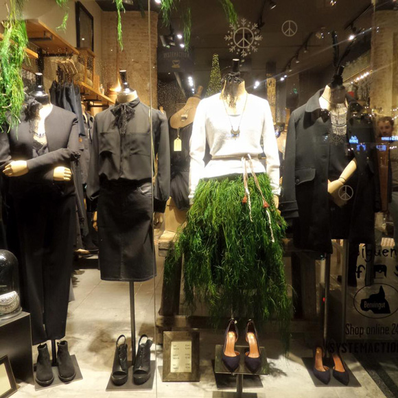 ชุดชะอม ชุดชะอม