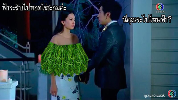 ชุดชะอม ชุดชะอม