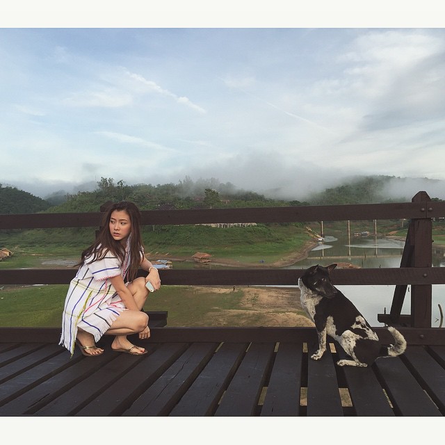 ใบเฟิร์น พิมพ์ชนก ใบเฟิร์น พิมพ์ชนก