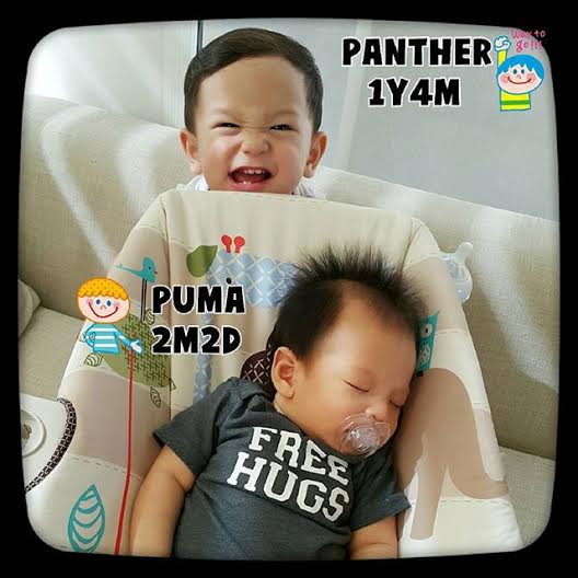 น้องแพนเตอร์ น้องพูม่า น้องแพนเตอร์ น้องพูม่า