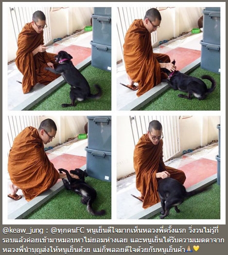 ณเดชน์ คูกิมิยะ ณเดชน์ คูกิมิยะ