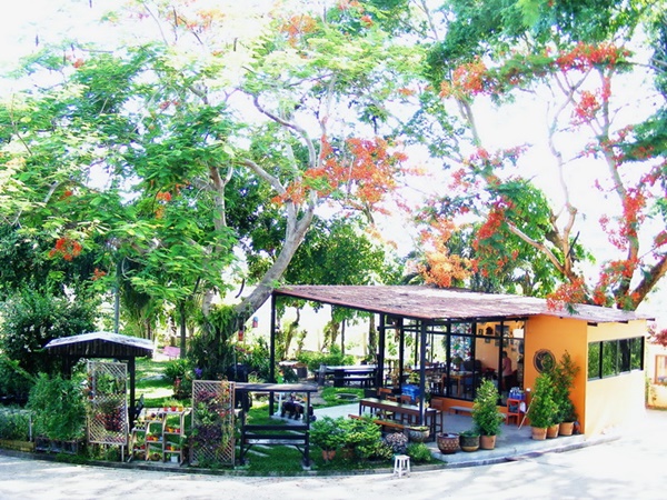 รีโนเวทสวนหลังน้ำท่วม เป็นร้านกาแฟเล็ก ๆ น่ารักสุดชิล รีโนเวทสวนหลังน้ำท่วม เป็นร้านกาแฟเล็ก ๆ น่ารักสุดชิล
