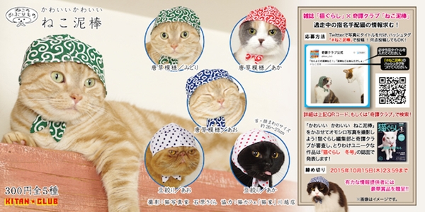 ผ้าโพกหัวน้องแมวสุดคิวท์ ไอเทมใหม่ในตู้หยอดเหรียญของญี่ปุ่น ผ้าโพกหัวน้องแมวสุดคิวท์ ไอเทมใหม่ในตู้หยอดเหรียญของญี่ปุ่น