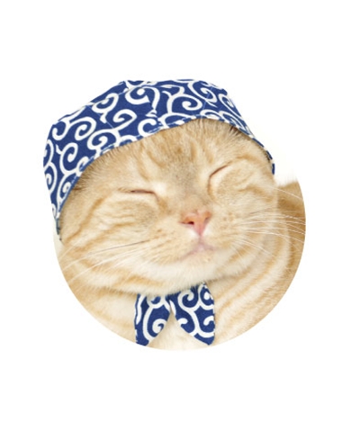 ผ้าโพกหัวน้องแมวสุดคิวท์ ไอเทมใหม่ในตู้หยอดเหรียญของญี่ปุ่น ผ้าโพกหัวน้องแมวสุดคิวท์ ไอเทมใหม่ในตู้หยอดเหรียญของญี่ปุ่น
