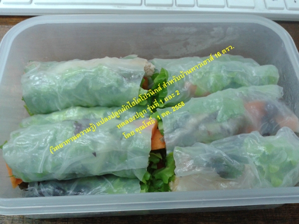 แปลงปลูกผักไฮโดรโปรนิกส์ สวนผักหน้าบ้านเล็ก ๆ แต่เก็บกินได้ทั้งปี ! แปลงปลูกผักไฮโดรโปรนิกส์ สวนผักหน้าบ้านเล็ก ๆ แต่เก็บกินได้ทั้งปี !