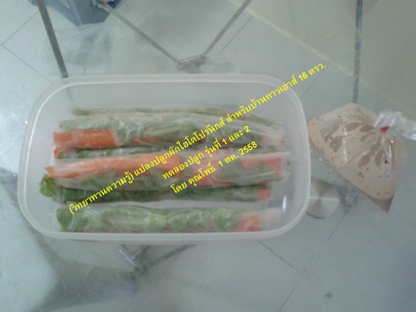 แปลงปลูกผักไฮโดรโปรนิกส์ สวนผักหน้าบ้านเล็ก ๆ แต่เก็บกินได้ทั้งปี ! แปลงปลูกผักไฮโดรโปรนิกส์ สวนผักหน้าบ้านเล็ก ๆ แต่เก็บกินได้ทั้งปี !