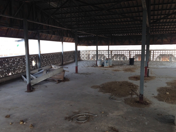 สร้างโฮสเทล เมื่อนักเดินทางอยากสร้างโฮสเทล งานรีโนเวทบ้านเก่าจึงเกิดขึ้น ! สร้างโฮสเทล เมื่อนักเดินทางอยากสร้างโฮสเทล งานรีโนเวทบ้านเก่าจึงเกิดขึ้น !