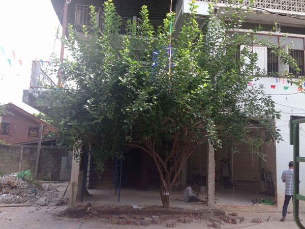 สร้างโฮสเทล เมื่อนักเดินทางอยากสร้างโฮสเทล งานรีโนเวทบ้านเก่าจึงเกิดขึ้น ! สร้างโฮสเทล เมื่อนักเดินทางอยากสร้างโฮสเทล งานรีโนเวทบ้านเก่าจึงเกิดขึ้น !