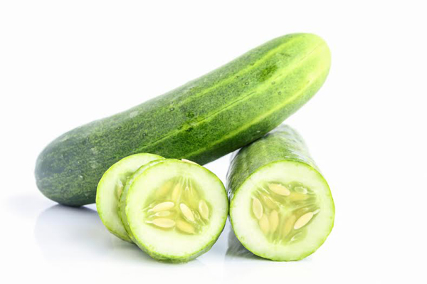 แมวกลัวแตงกวา แมวกลัวแตงกวา