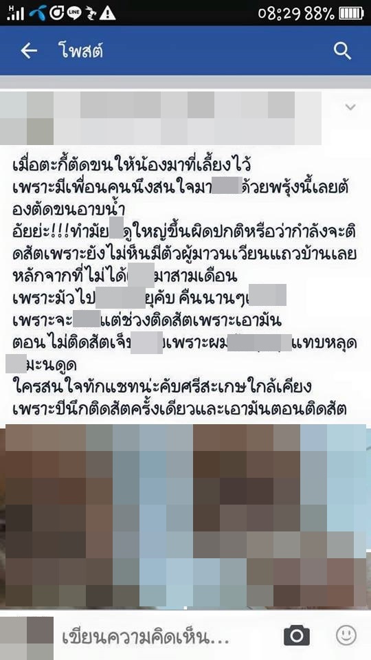 ข่าวสัตว์เลี้ยงแห่งปี ข่าวสัตว์เลี้ยงแห่งปี
