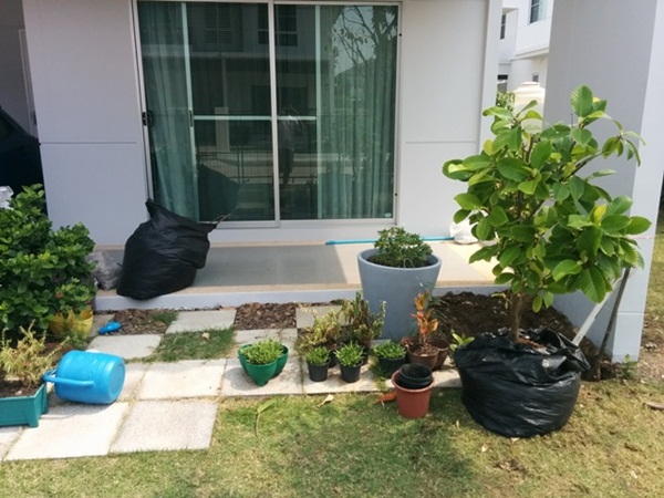 รีวิวทำบ่อปลาน้ำตกขุดเองก่อเอง ใช้งบแค่ 6 พันบาท รีวิวทำบ่อปลาน้ำตกขุดเองก่อเอง ใช้งบแค่ 6 พันบาท
