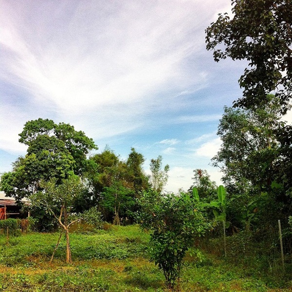 รีวิวสร้างบ้านชั้นเดียวขนาด 3x4 เมตร สบายเหมือนพักรีสอร์ท รีวิวสร้างบ้านชั้นเดียวขนาด 3x4 เมตร สบายเหมือนพักรีสอร์ท