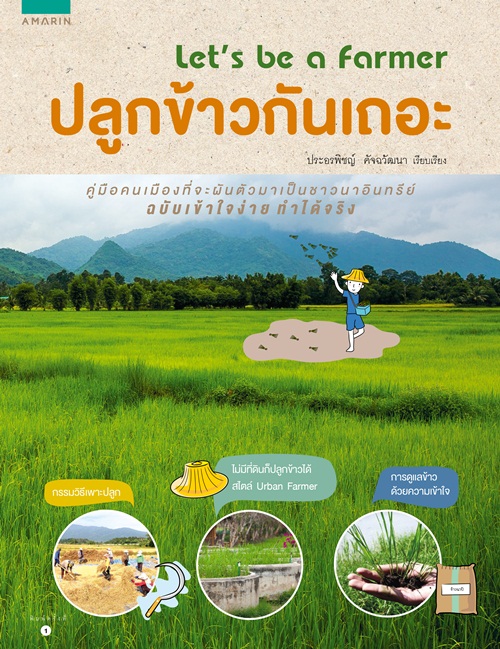 3 วิธีปลูกข้าวสไตล์คนเมือง มีพื้นที่น้อยก็ทำได้ 3 วิธีปลูกข้าวสไตล์คนเมือง มีพื้นที่น้อยก็ทำได้