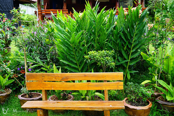 รีวิวพาชมสวนหน้าบ้าน ยังสวยได้แม้ยามฝนแล้ง รีวิวพาชมสวนหน้าบ้าน ยังสวยได้แม้ยามฝนแล้ง