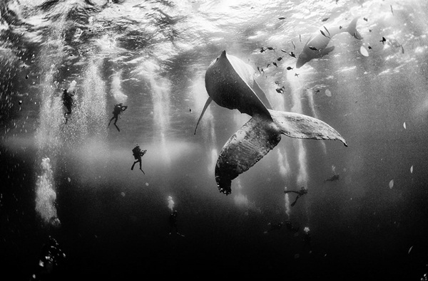 มาดู...สุดยอดภาพถ่ายแนวท่องเที่ยว คว้ารางวัล National Geographic 2015 มาดู...สุดยอดภาพถ่ายแนวท่องเที่ยว คว้ารางวัล National Geographic 2015