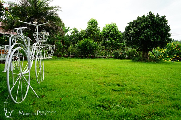 รีวิวพาชมสวนหน้าบ้าน ยังสวยได้แม้ยามฝนแล้ง รีวิวพาชมสวนหน้าบ้าน ยังสวยได้แม้ยามฝนแล้ง
