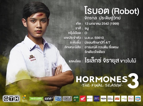 Hormones 3 The Final Season Hormones 3 The Final Season